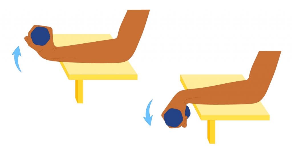 Reverse Wrist Curves