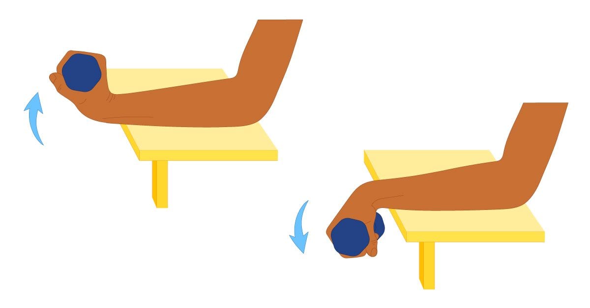 Reverse Wrist Curves 2 Reverse Wrist Curves