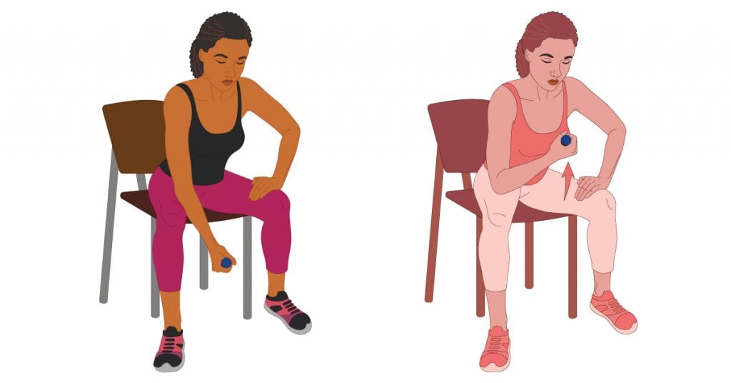 Supported Bicep Curl