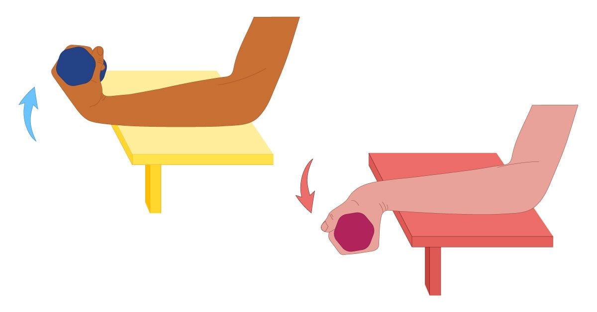 Wrist Curves 1 Wrist Curls