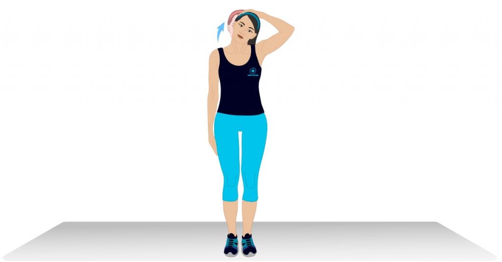 Neck Stretches