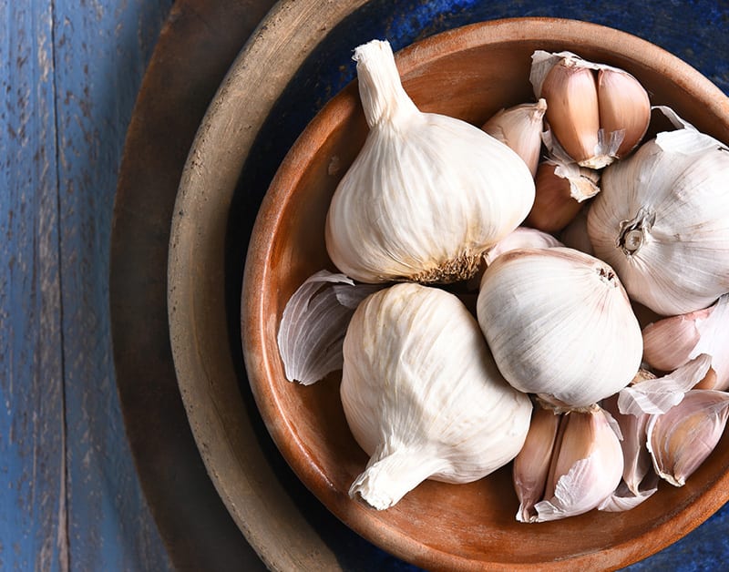 Garlic