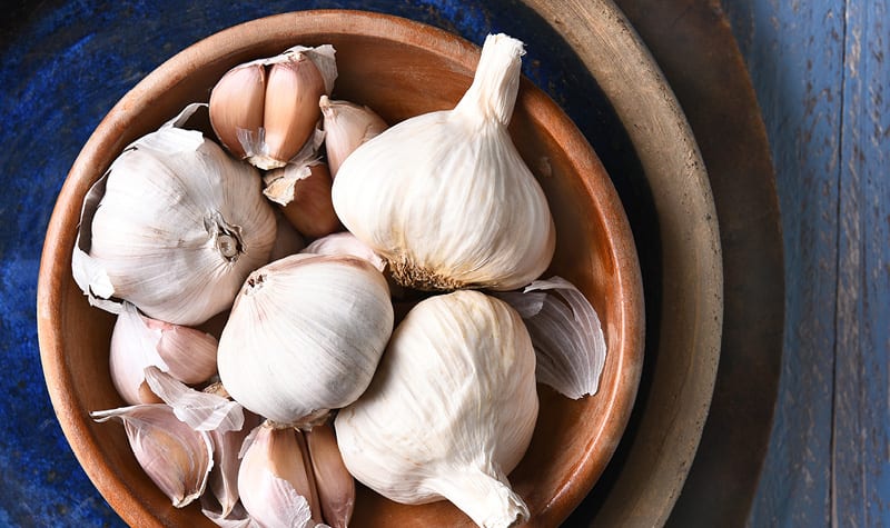 Garlic