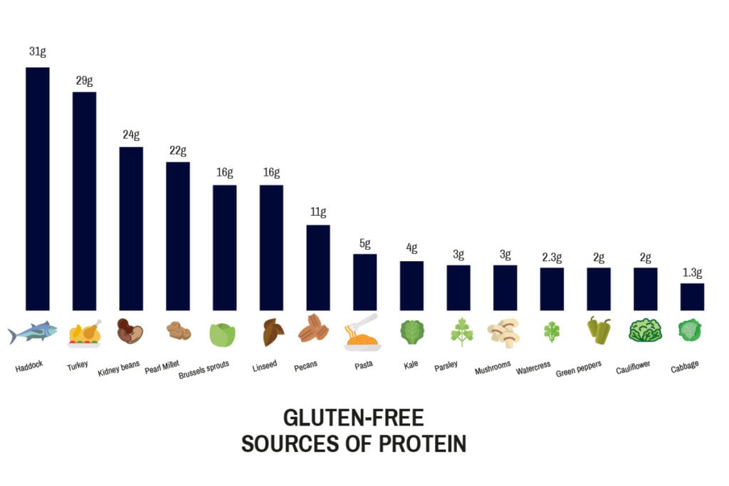 Gluten Free Sources Of Protein