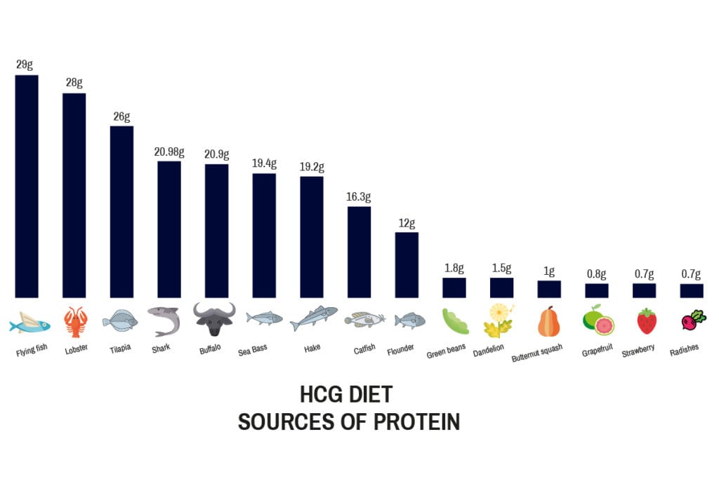 Hcg Diet Sources Of Protein