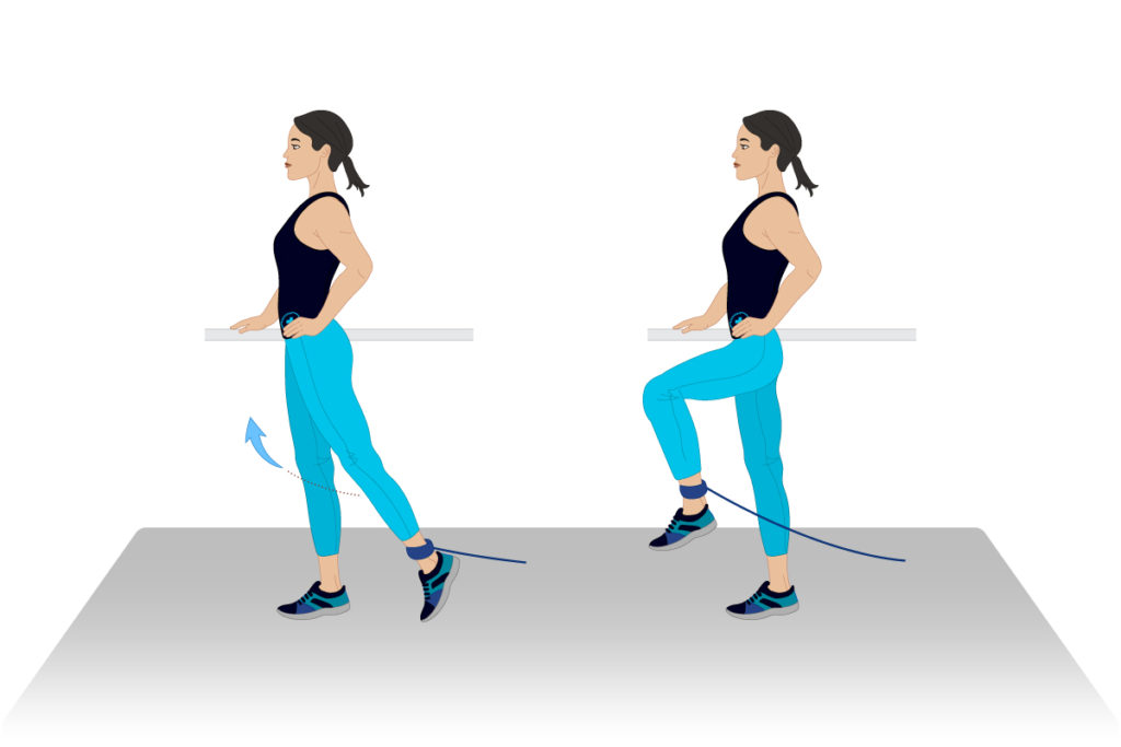 hip flexion exercise