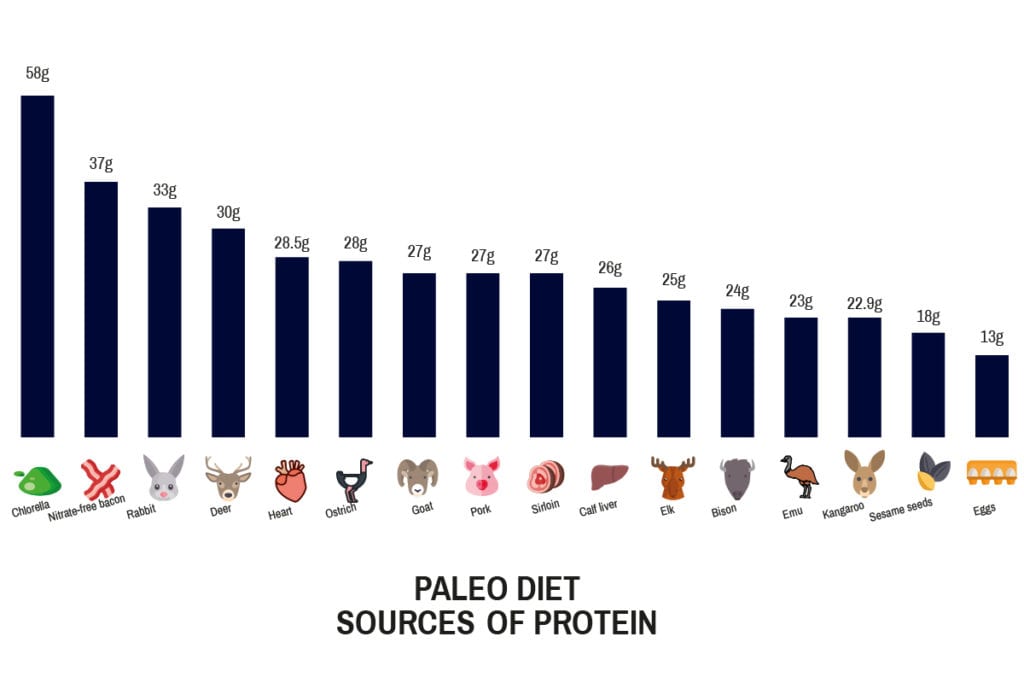 Paleo Diet Sources Of Protein