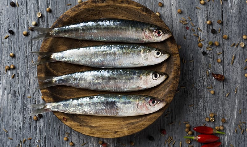 Sardines
