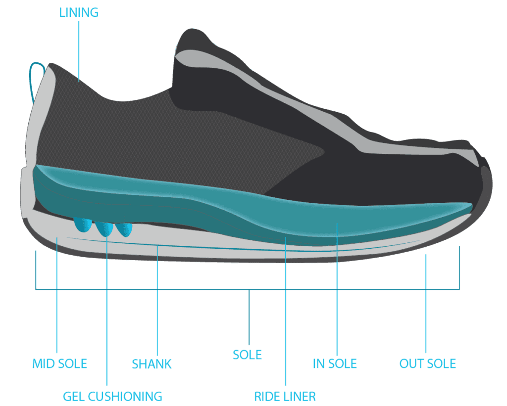 Shoe Anatomy Sole Interior