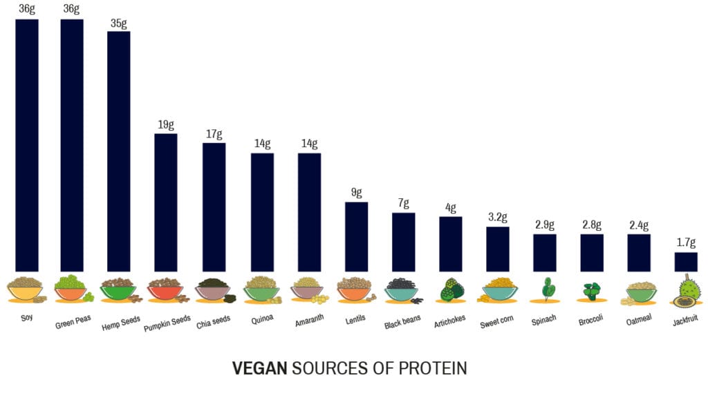 Vegan Sources Of Protein 