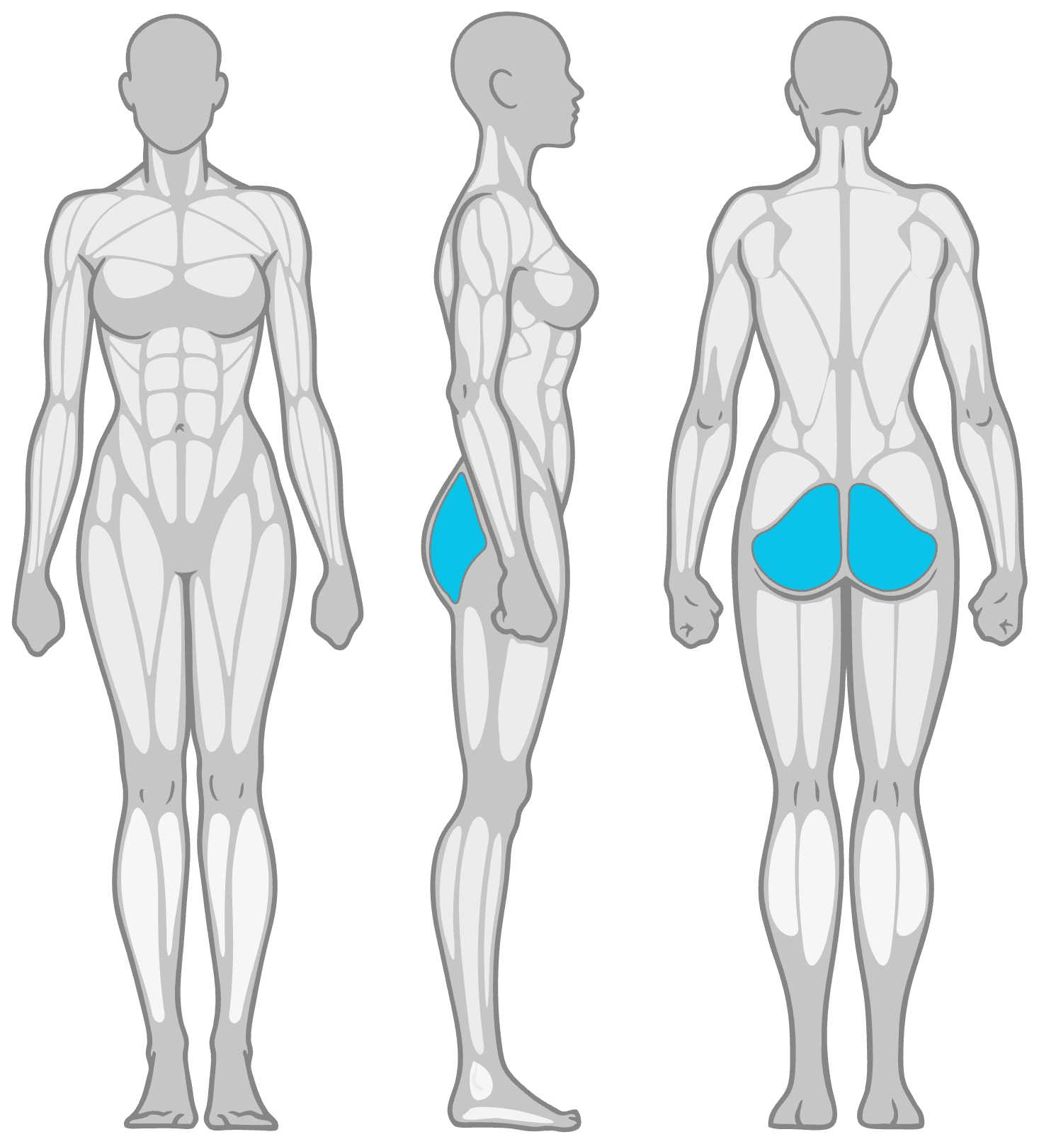 Anatomy diagram showing the muscles worked in the Pigeon Stretch: glutes as the primary muscles and deep hip rotators (piriformis) as secondary, shown front, side and back.