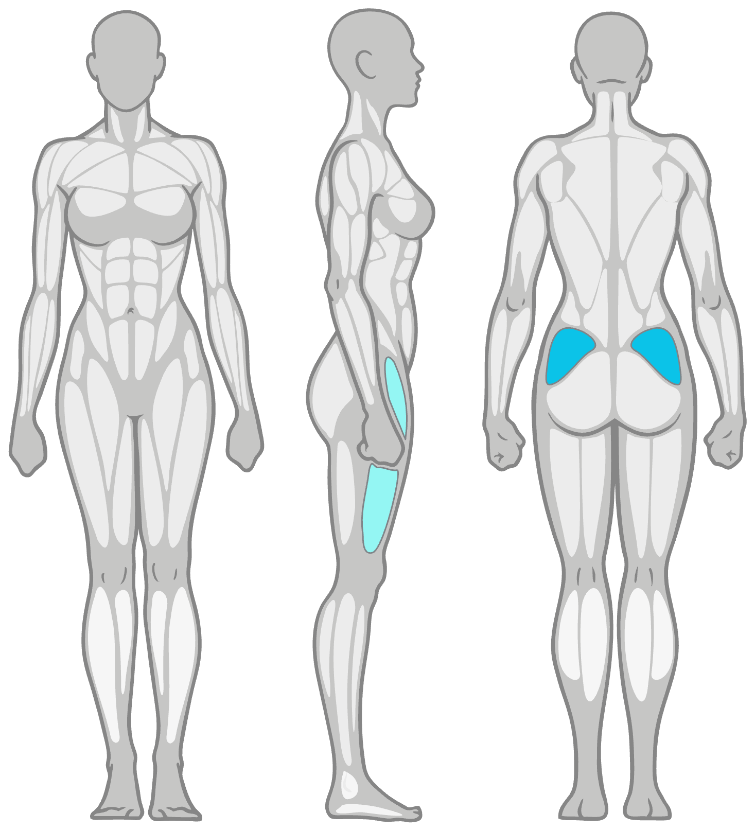 Anatomy diagram showing the muscles worked in the Reverse Clamshell: outer hip (gluteus medius) as the primary muscles and IT band and deep glute as secondary, shown front, side and back.