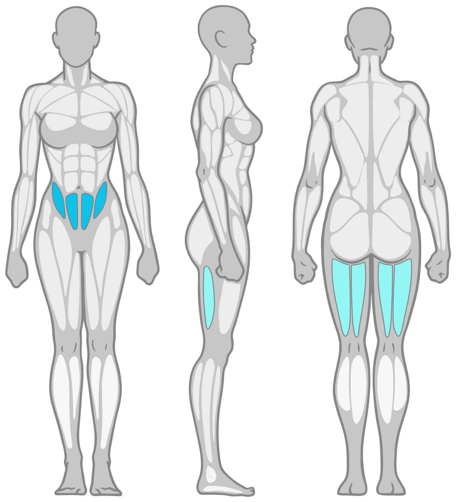 Anatomy diagram showing the muscles worked in the Runners Lunge: hip flexors as the primary muscles and hamstrings as secondary, shown front, side and back.
