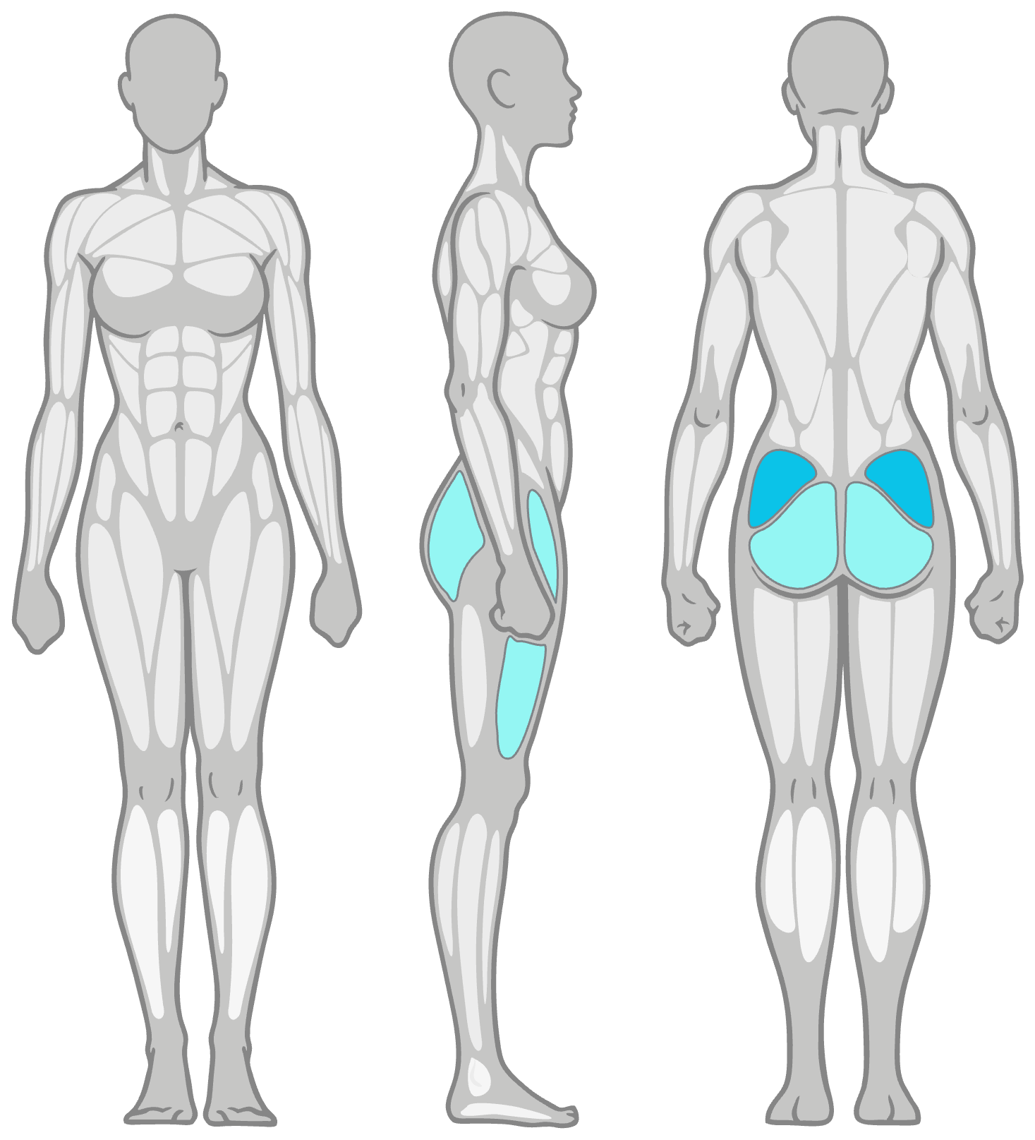 Anatomy diagram showing the muscles worked in the Side Leg Lifts: outer hip (gluteus medius) as the primary muscles and glutes and IT band as secondary, shown front, side and back.
