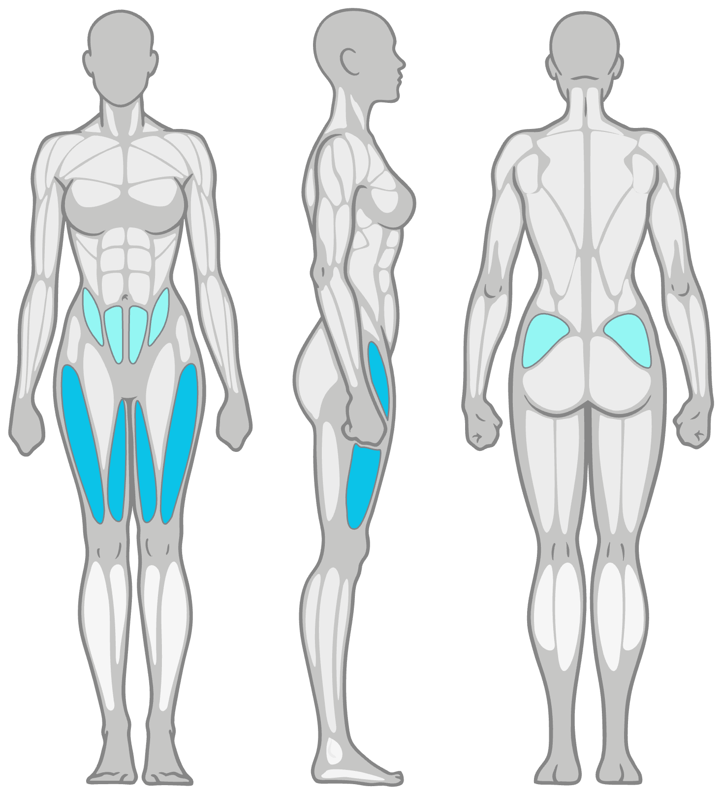 Anatomy diagram showing the muscles worked in the Standing Quad Stretch: quads as the primary muscles and hip flexors and IT band as secondary, shown front, side and back.